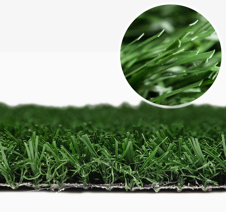 256814 Pet grass
