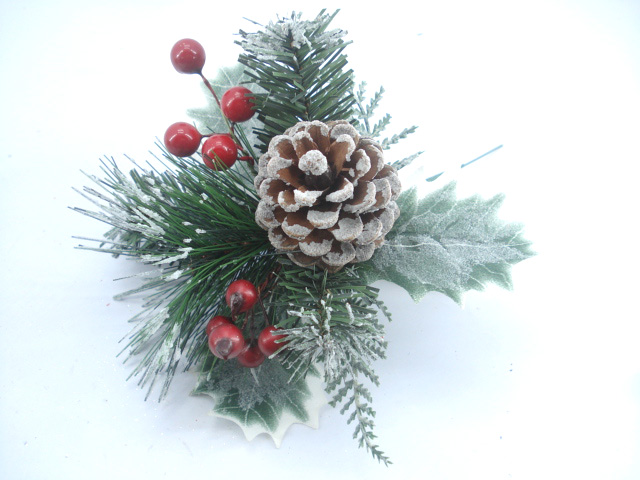 Christmas Picks