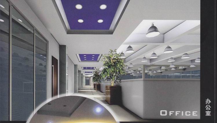 Fuzhou Yixin Trading Co., Ltd. – Product photos 3