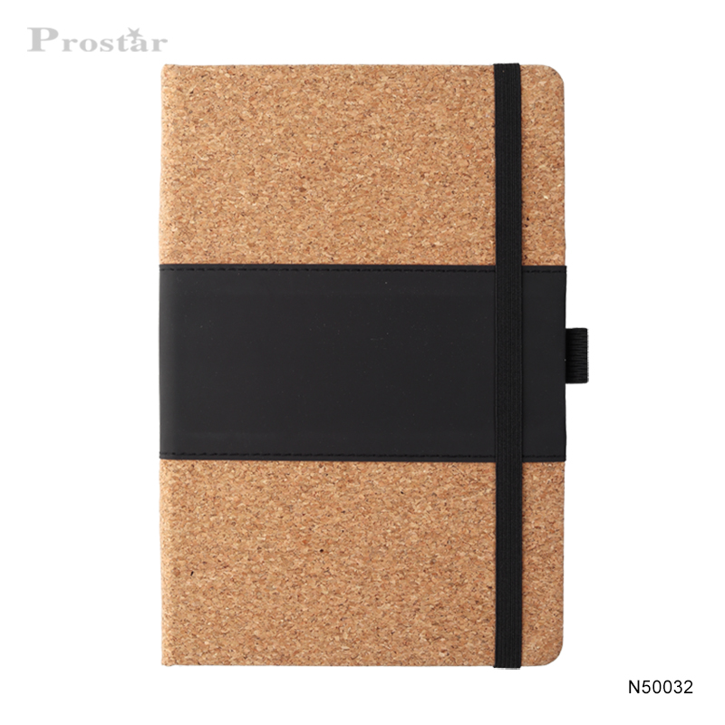 Prostar Notebook