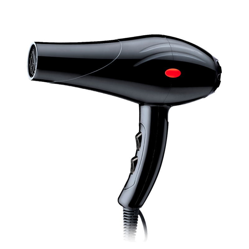 XDM hair drier 6650