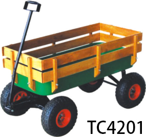 TC4201 kids wagon