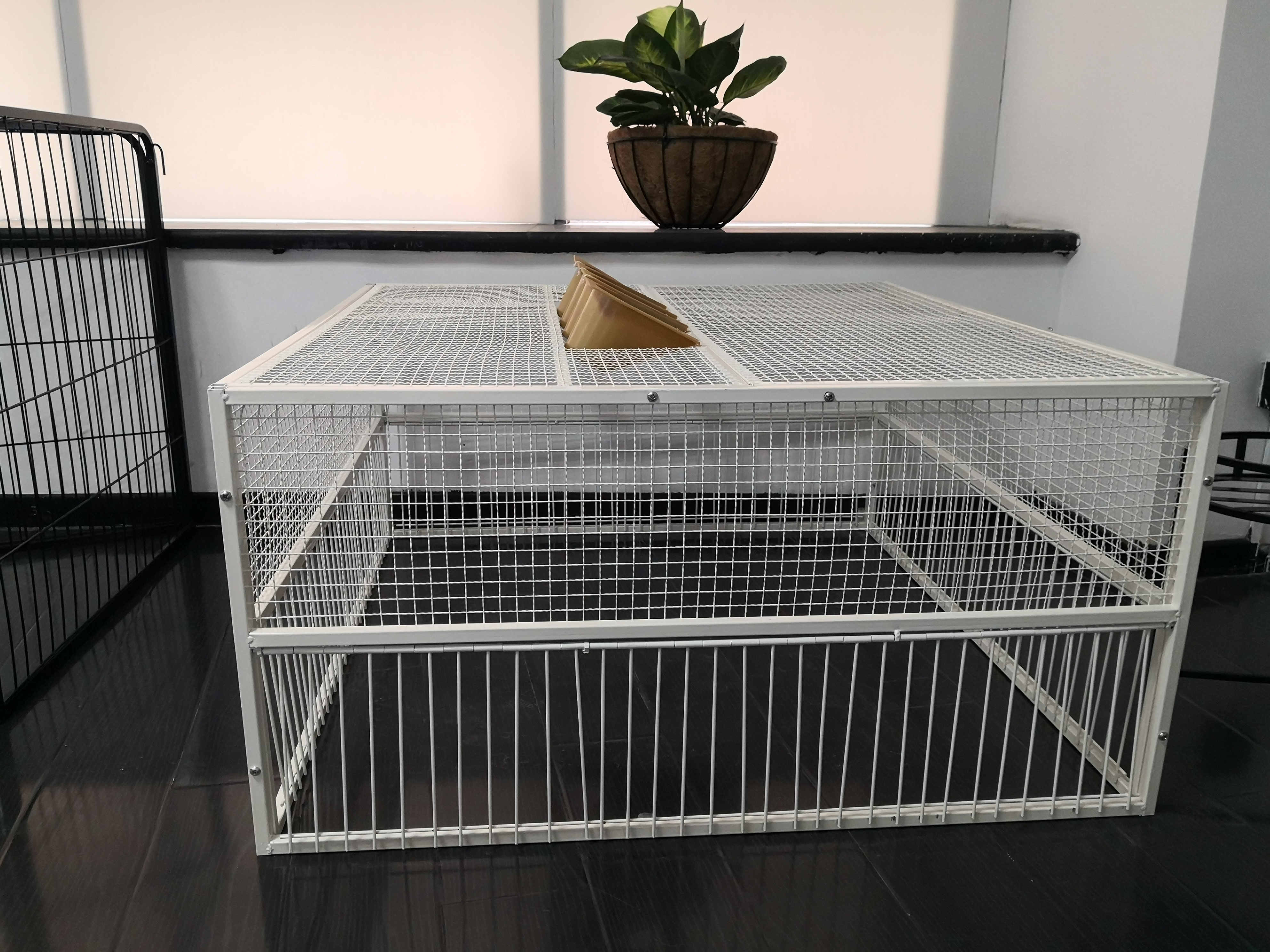 Metal pigeon cage