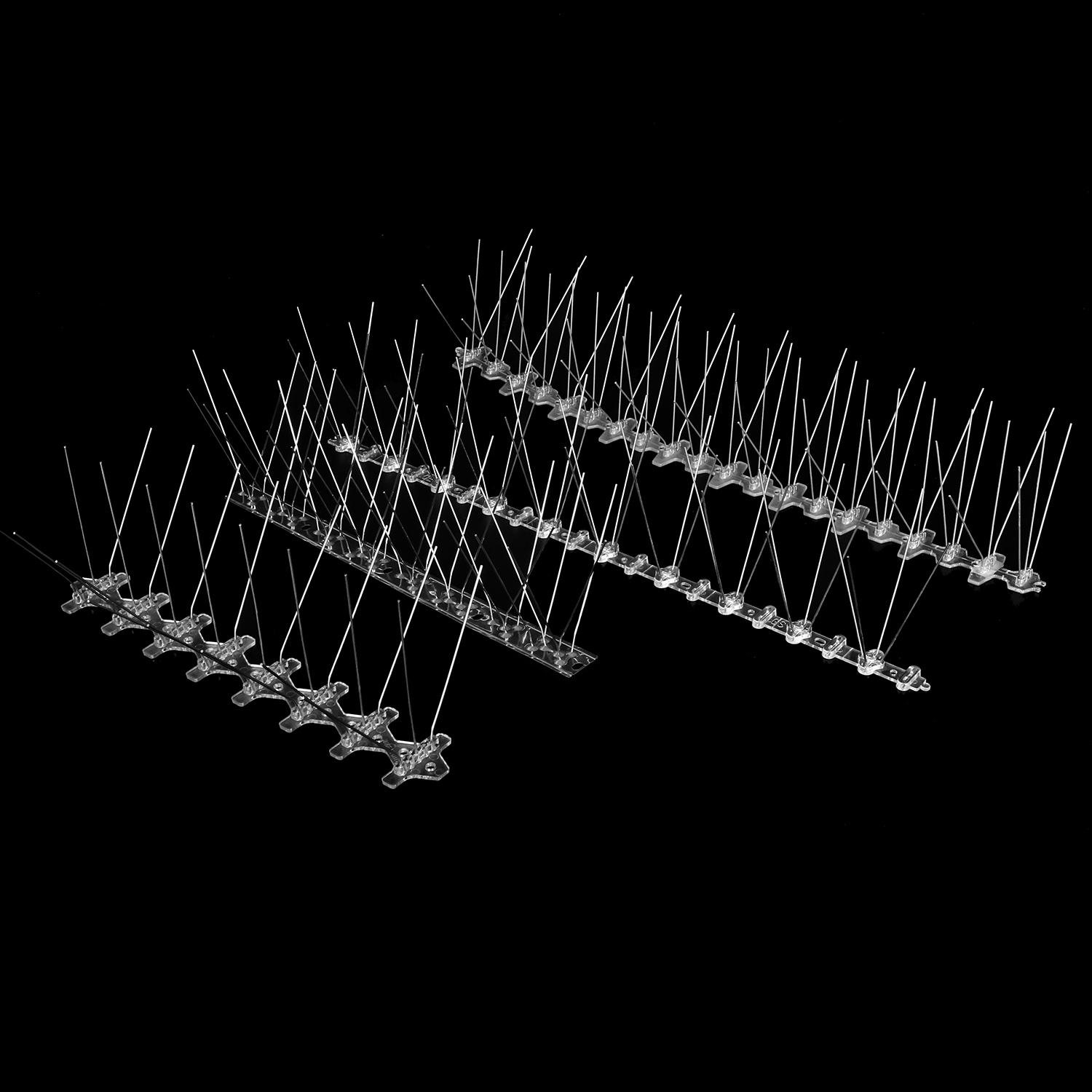 Bird Spike