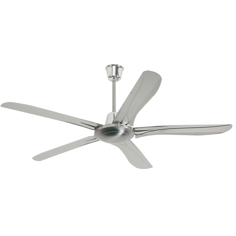 Ceiling Fan With 5 Blades