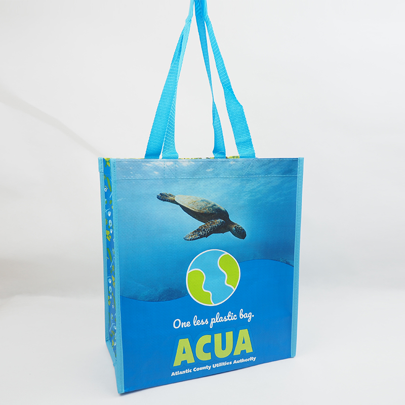 PP Woven lamination shopping bag