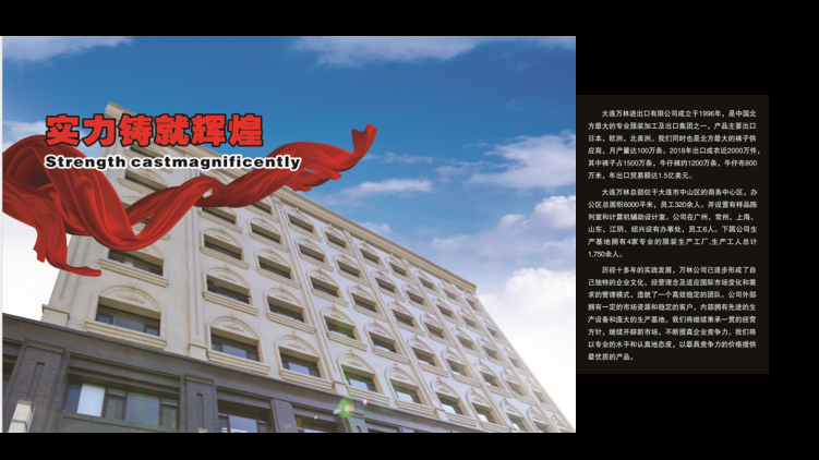 Dalian Wanlin Import and Export Co., Ltd. – Women's skirts 1