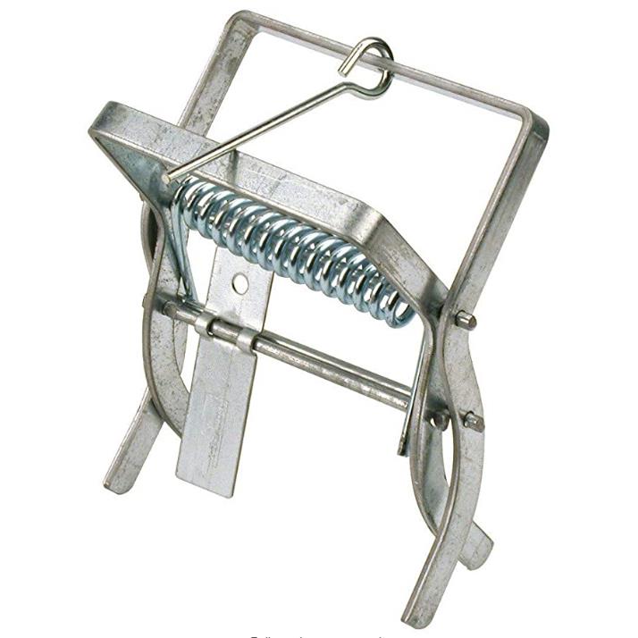 Galvanized scissors type claw mole trap
