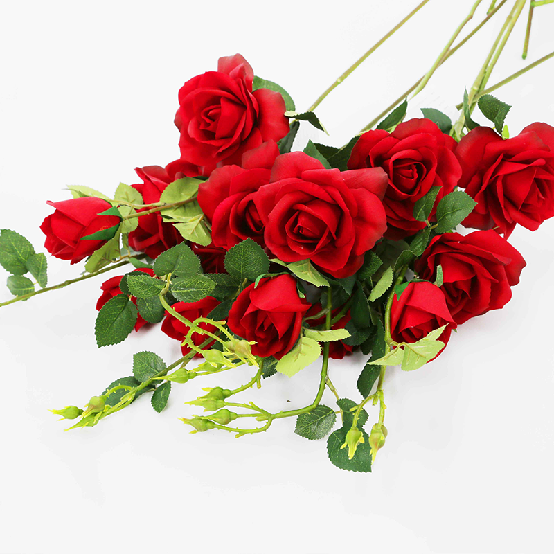 TIELING NORTHERN HANDCRAFT FLOWERS CO.,LTD. – portarretrato 3
