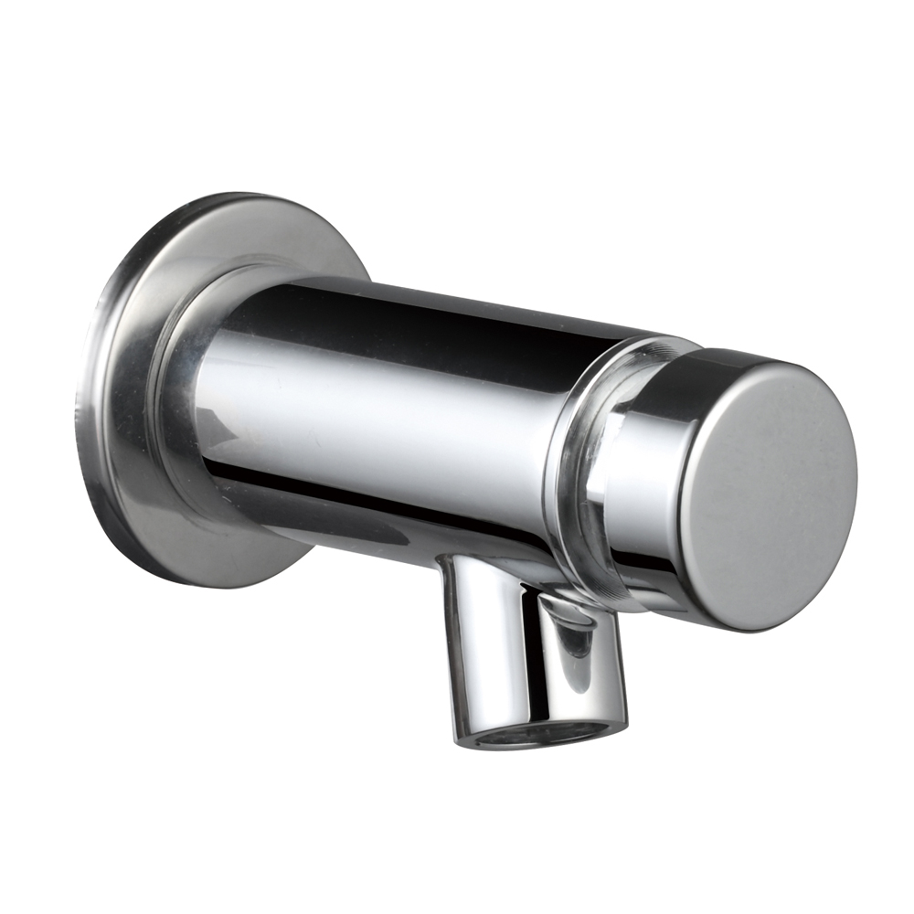 Wall mounted Time delay faucet