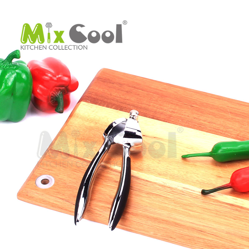 Garlic Press