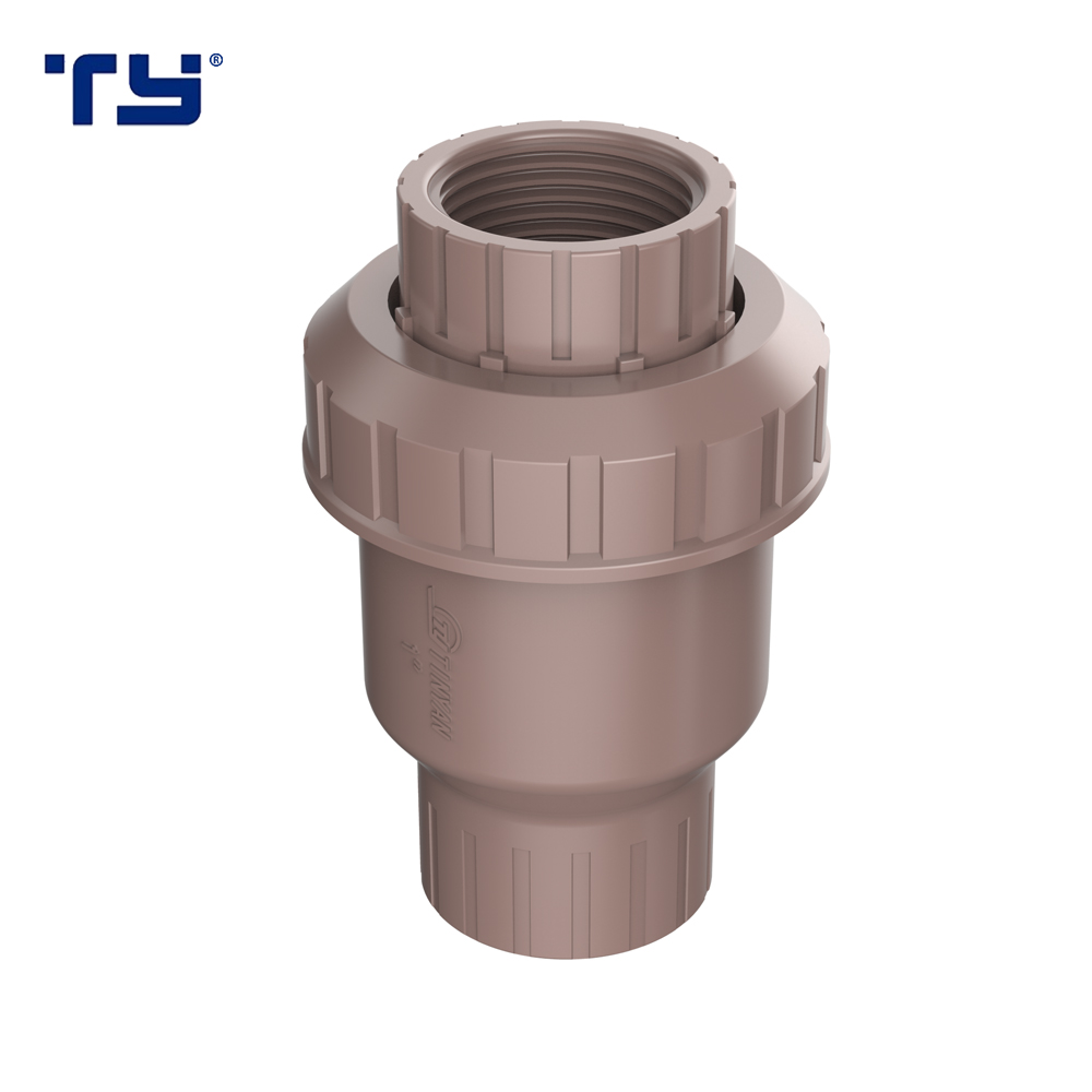 PVC Check Valve PVC Foot Valve Plastic Valve