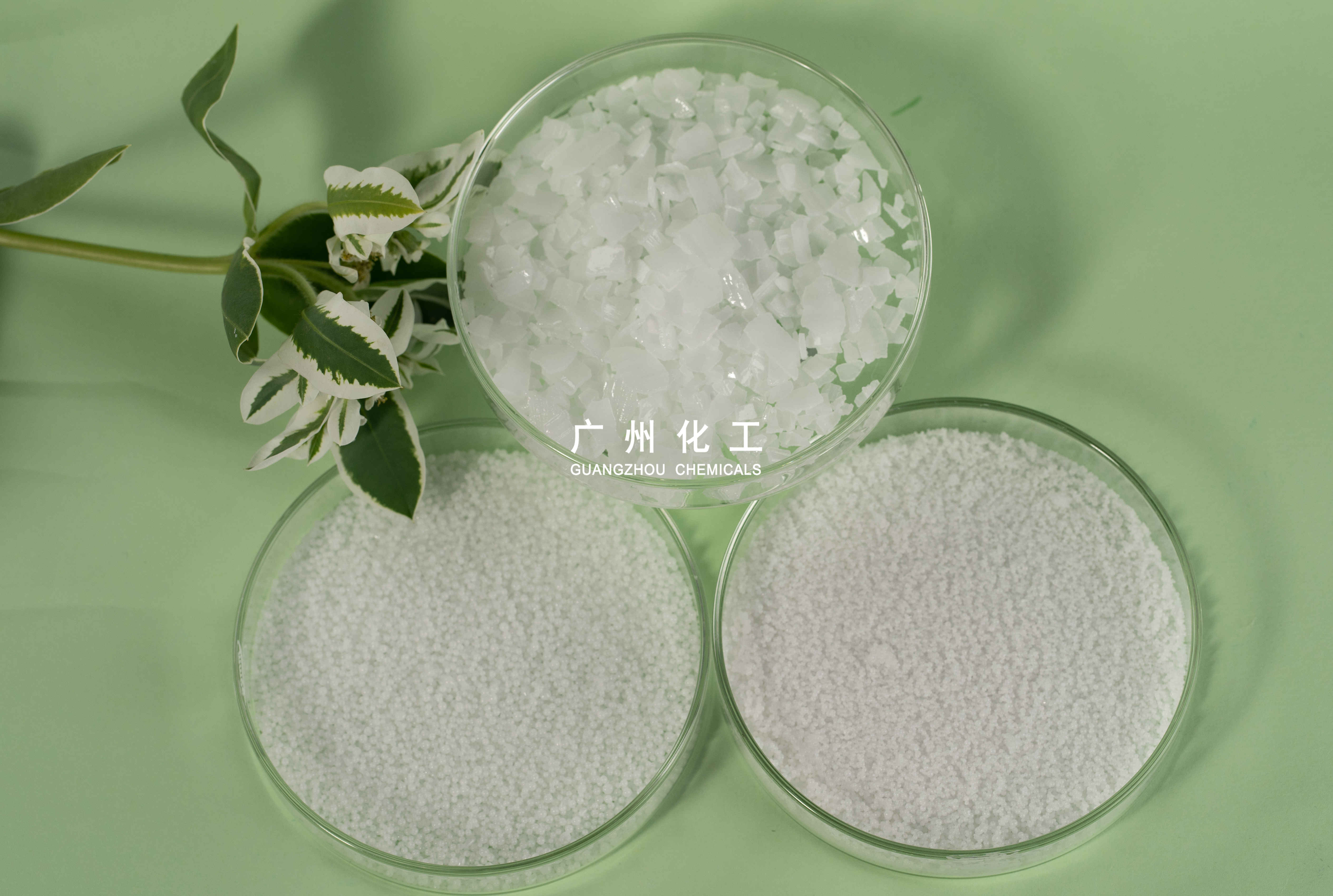 Caustic Soda Flakes/Pearls