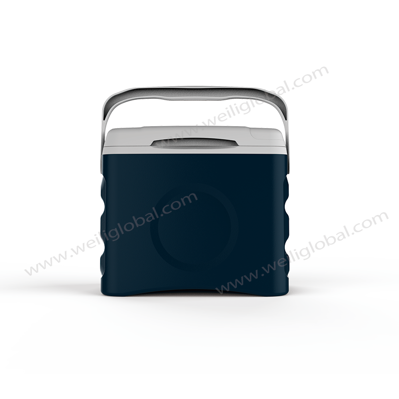 GUANGDONG WELLY ELECTRICAL APPLIANCES CO.,LTD – refrigerador de acero 2