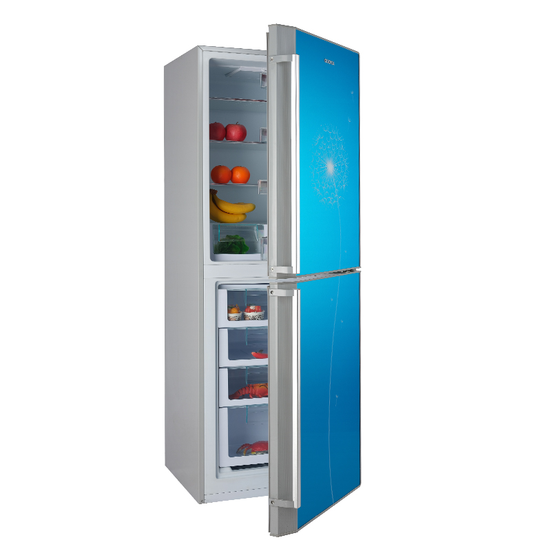 Bottom Freezer Refrigerator