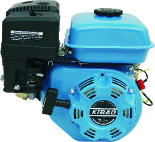 gasoline engine