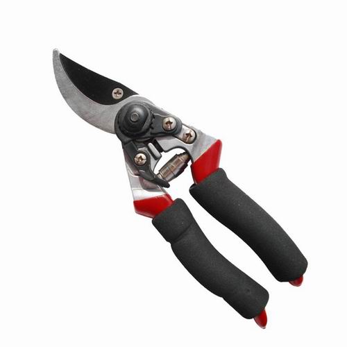 garden shear garden pruner