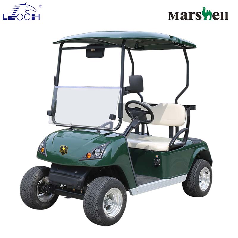 Electric Golf Car DG-C2-5