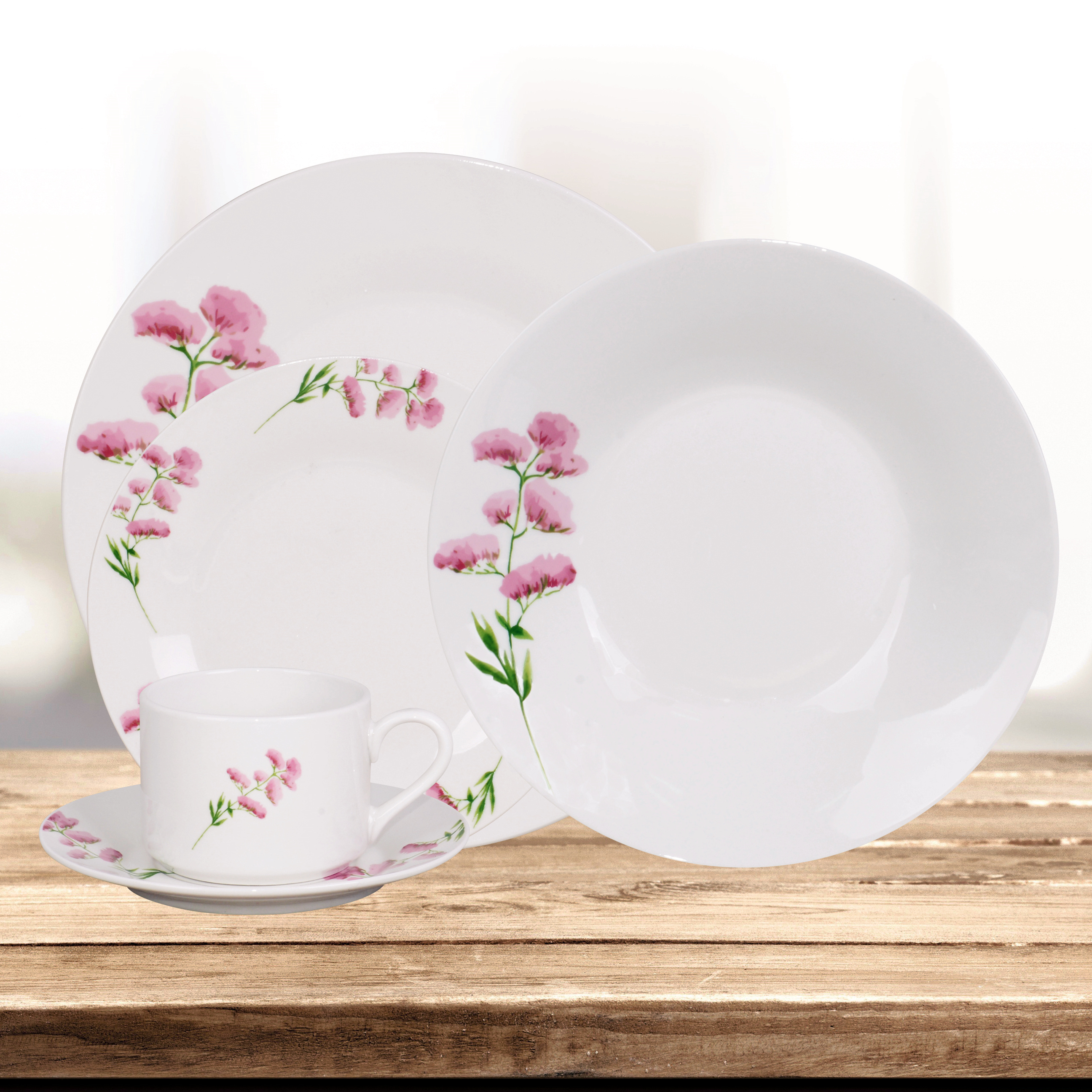 20 Piece Porcelain Dinnerware Set