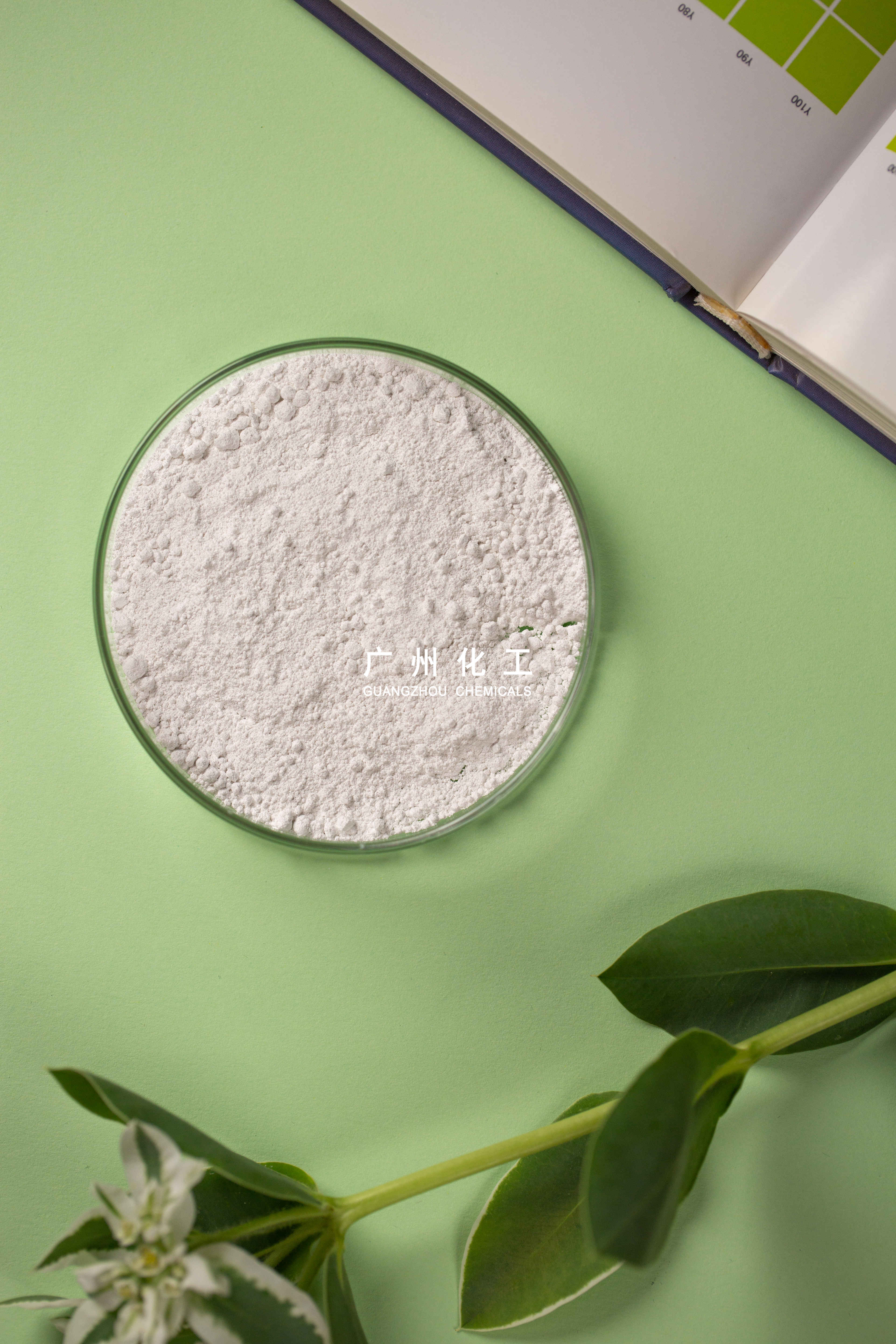 Titanium Dioxide Pigment Grade B101