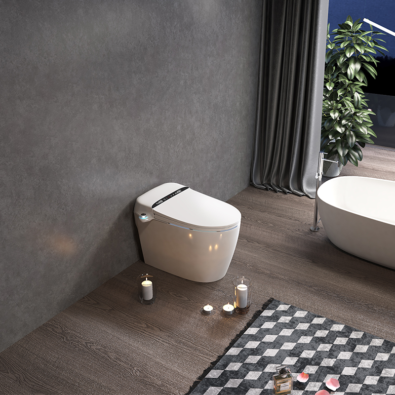 Intelligent toilet