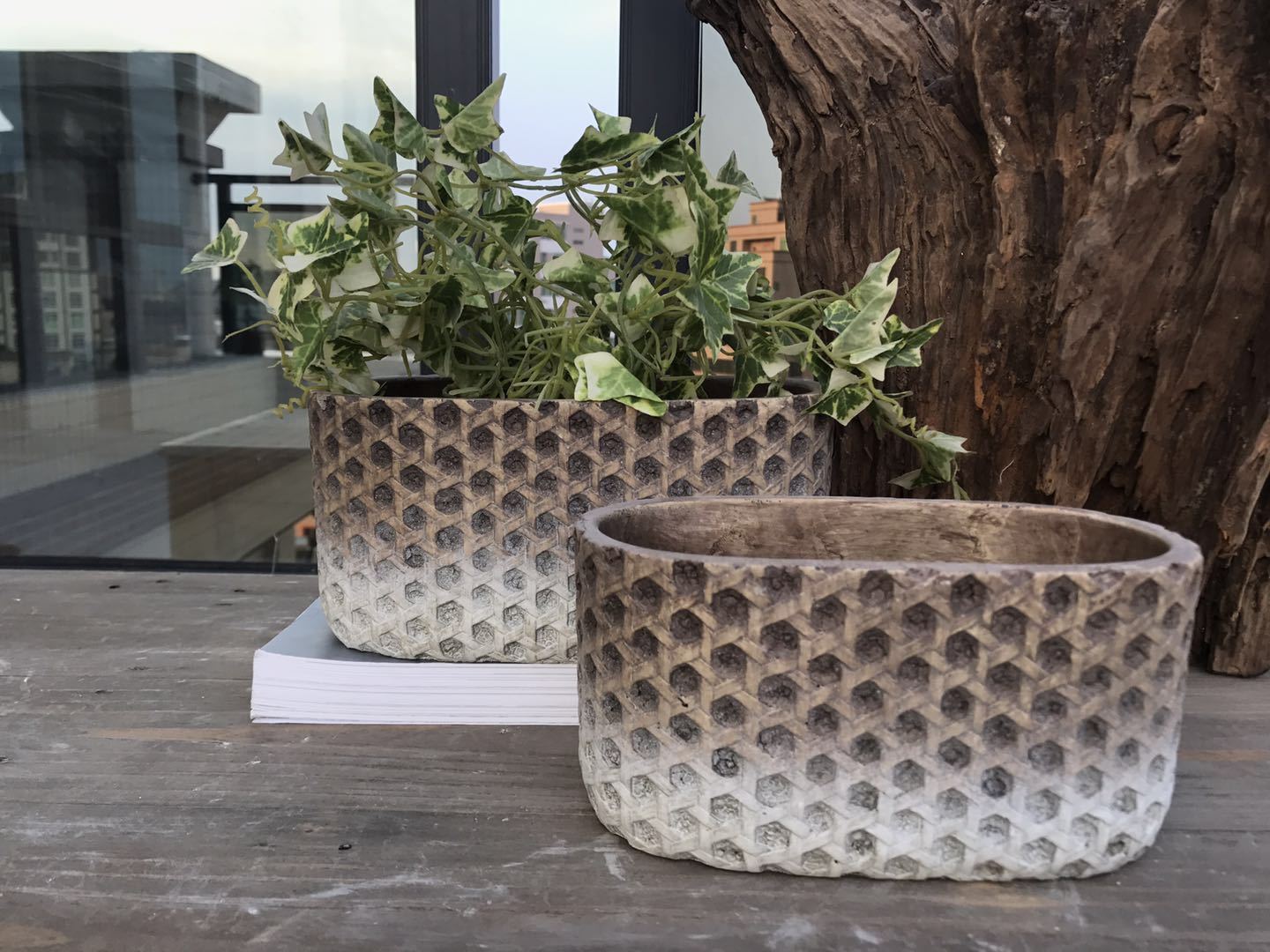 cement flower pot