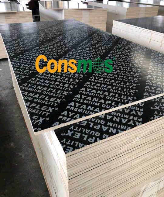 Consmos film faced plywood formwork plywood