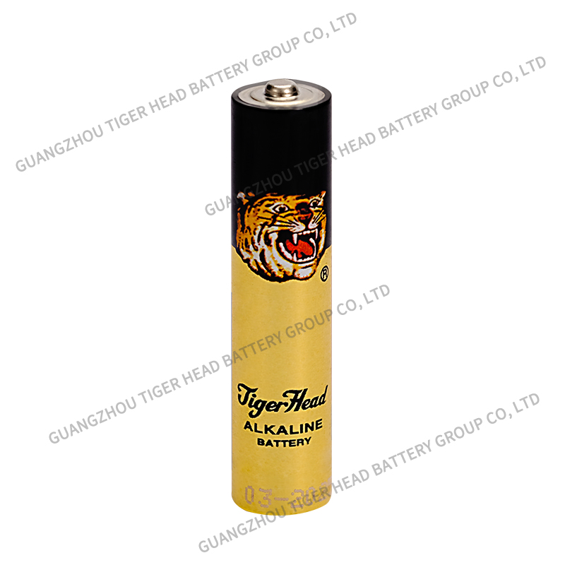 GUANGZHOU TIGER HEAD BATTERY GROUP CO.,LTD. – microondas compacto 1