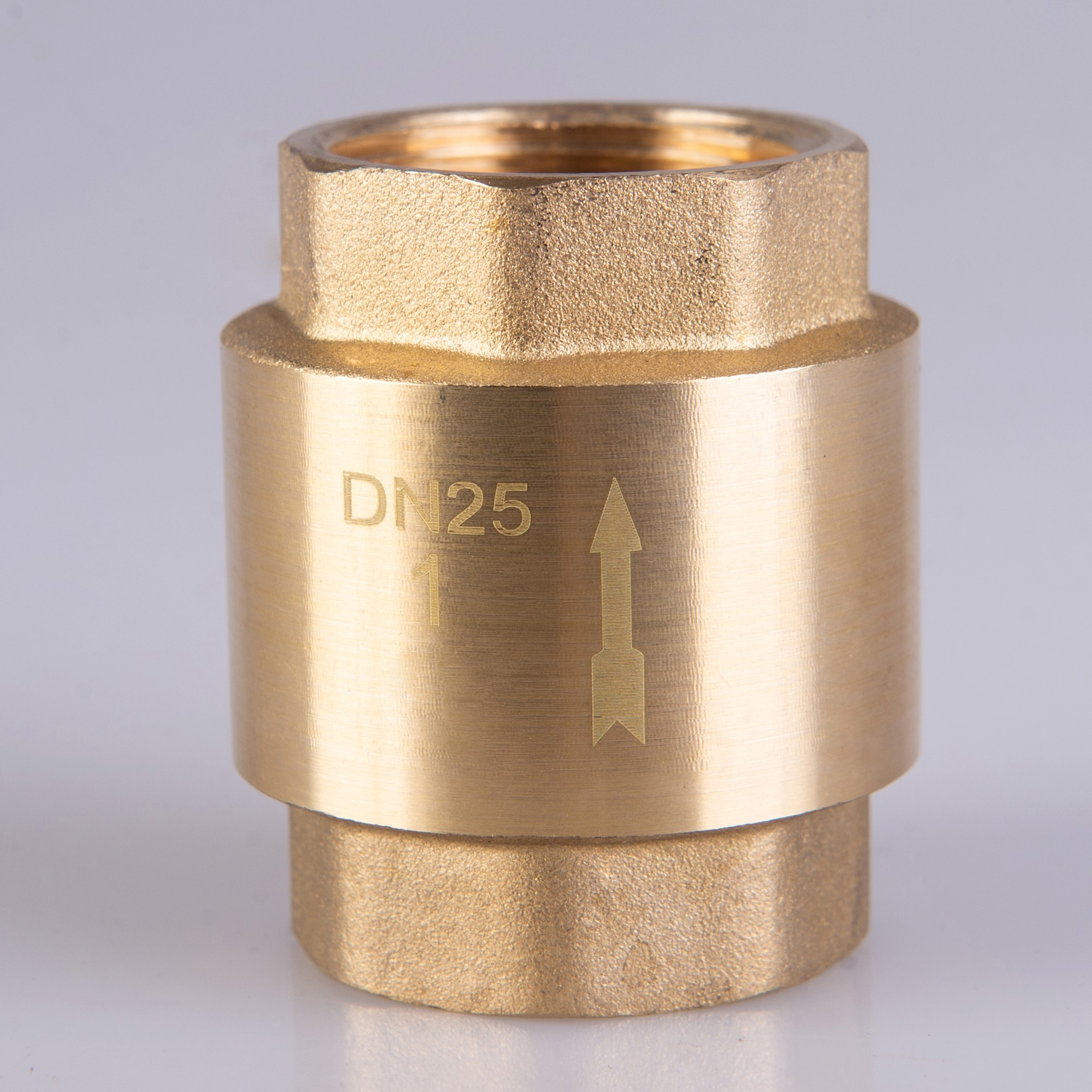 Ho-Check Valve