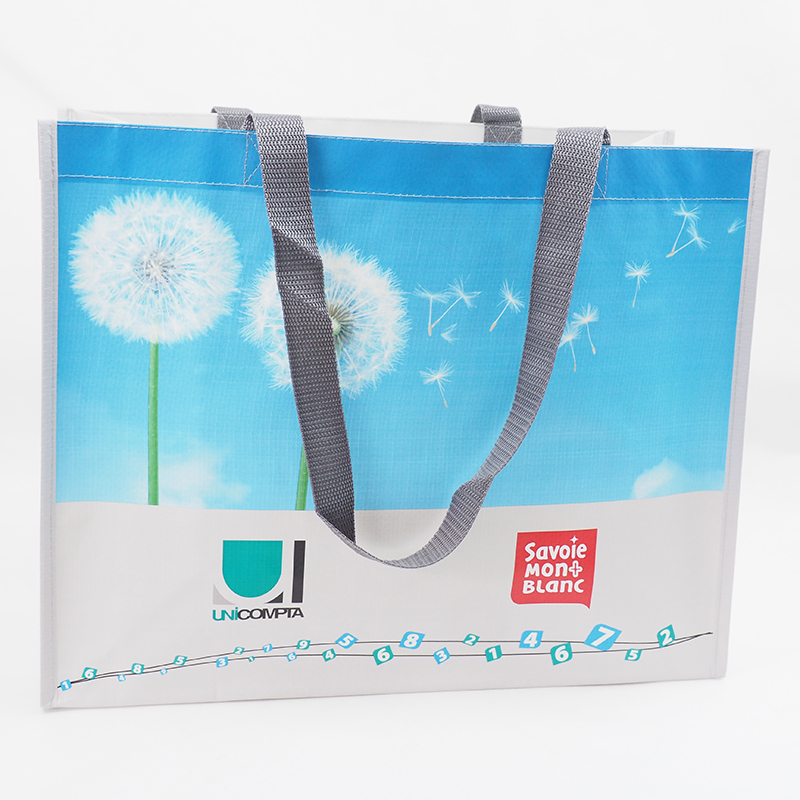 PP woven shopping bag tote bag