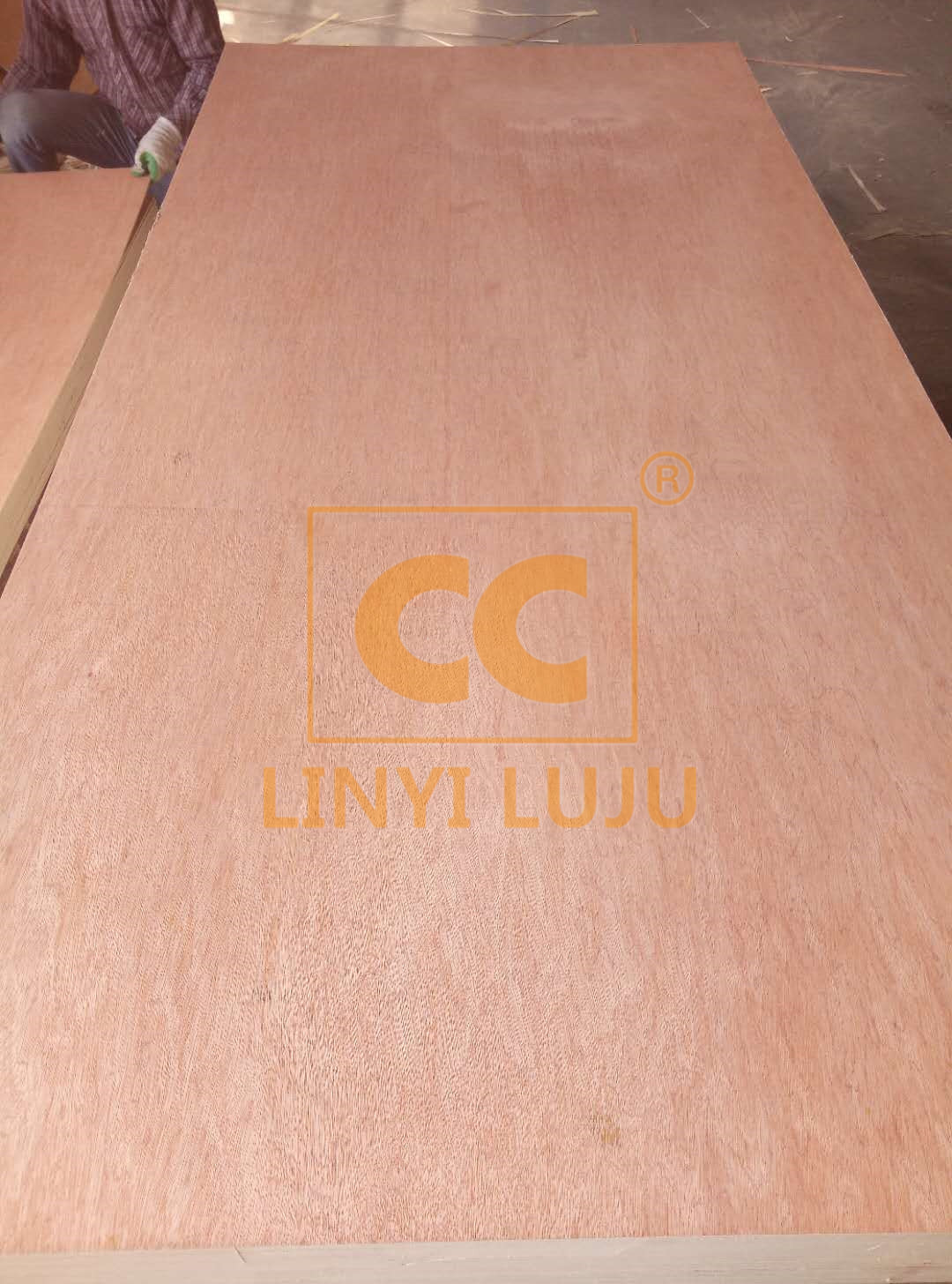 Construction grade pine plywood