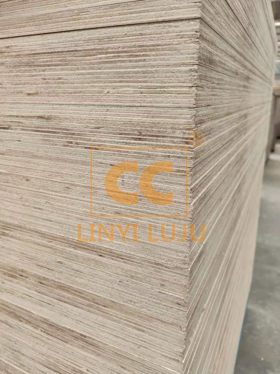 Eucalyptus core birch plywood