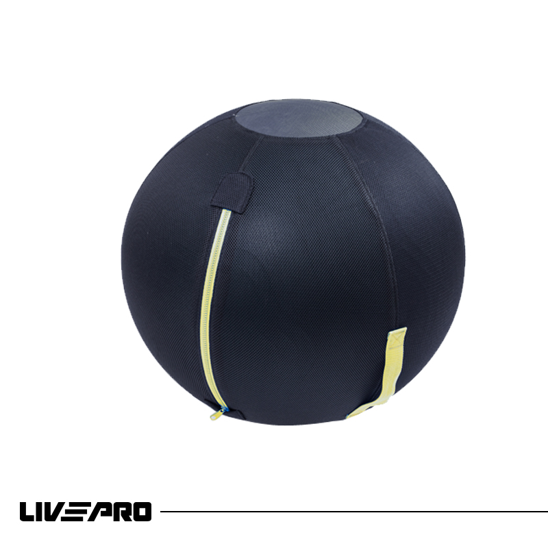 Gym Ball Bag