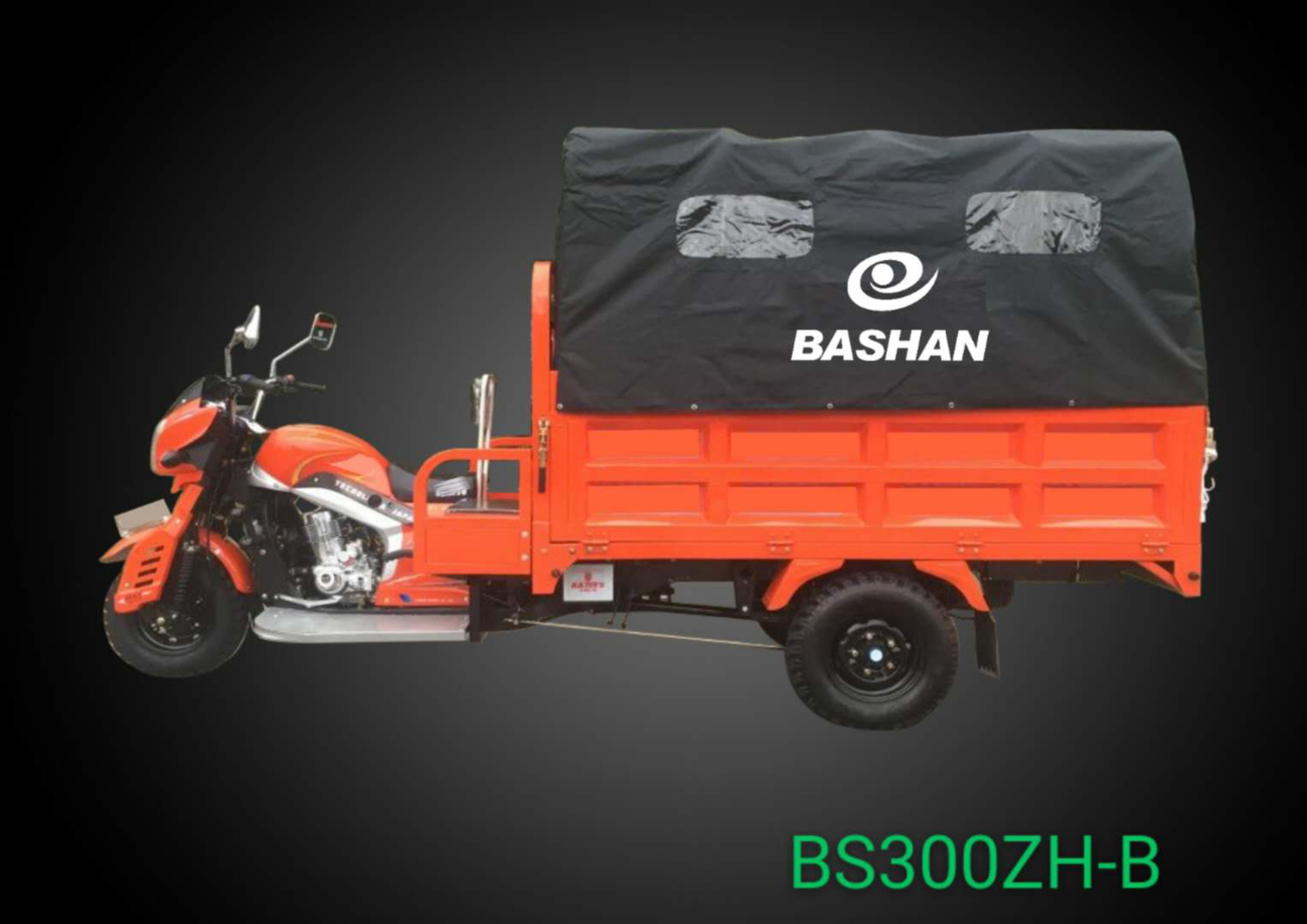 Cargo tricycle(one more seat behind the driver)