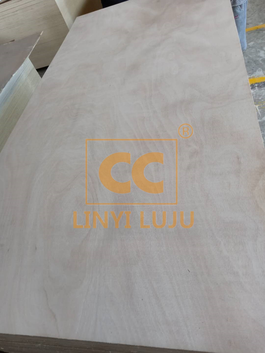 12mm White Birch Plywood