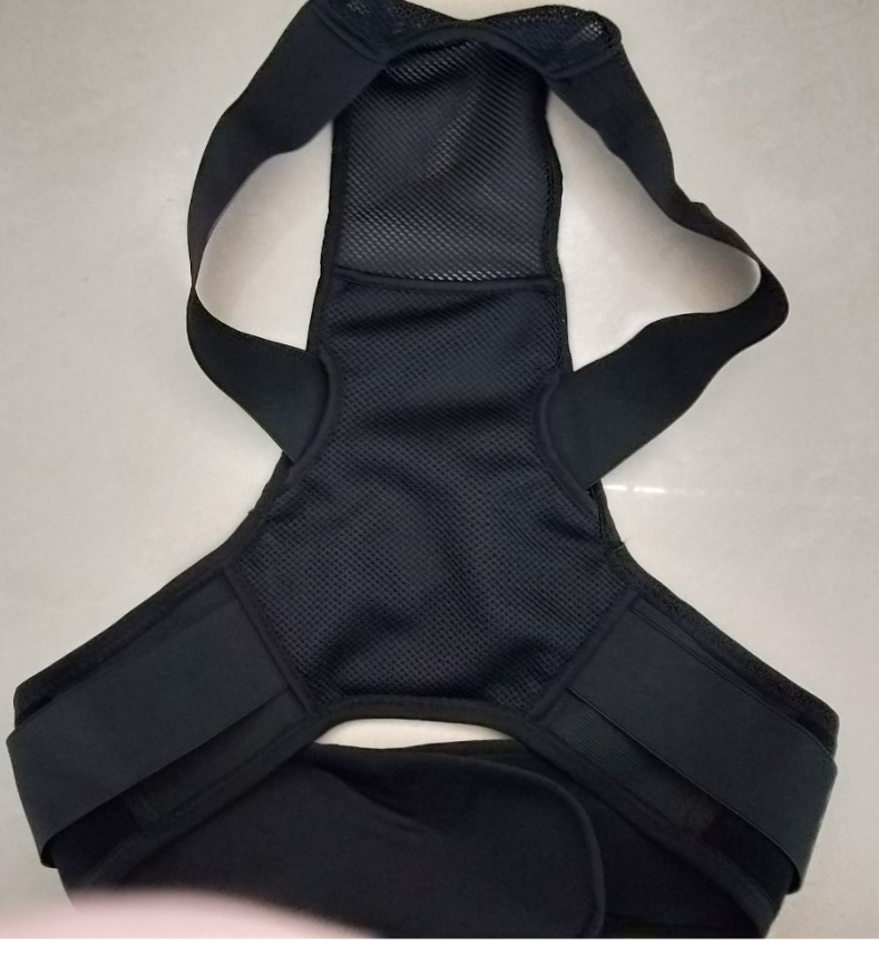 Back Support