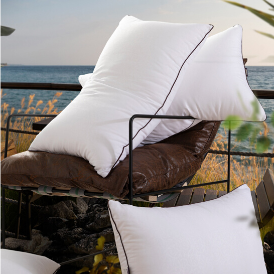 Pillow 100%polyester/ microfiber
