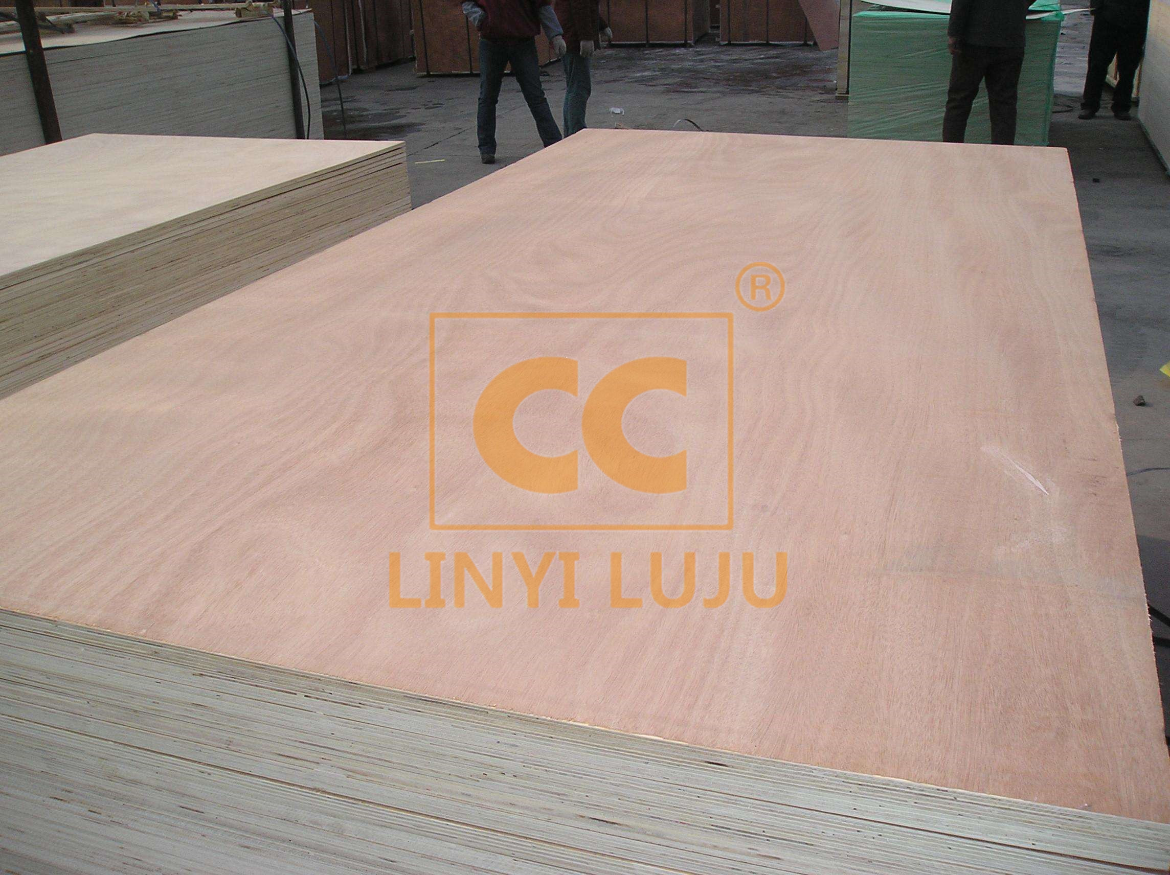 BB/CC Grade bintangor plywood