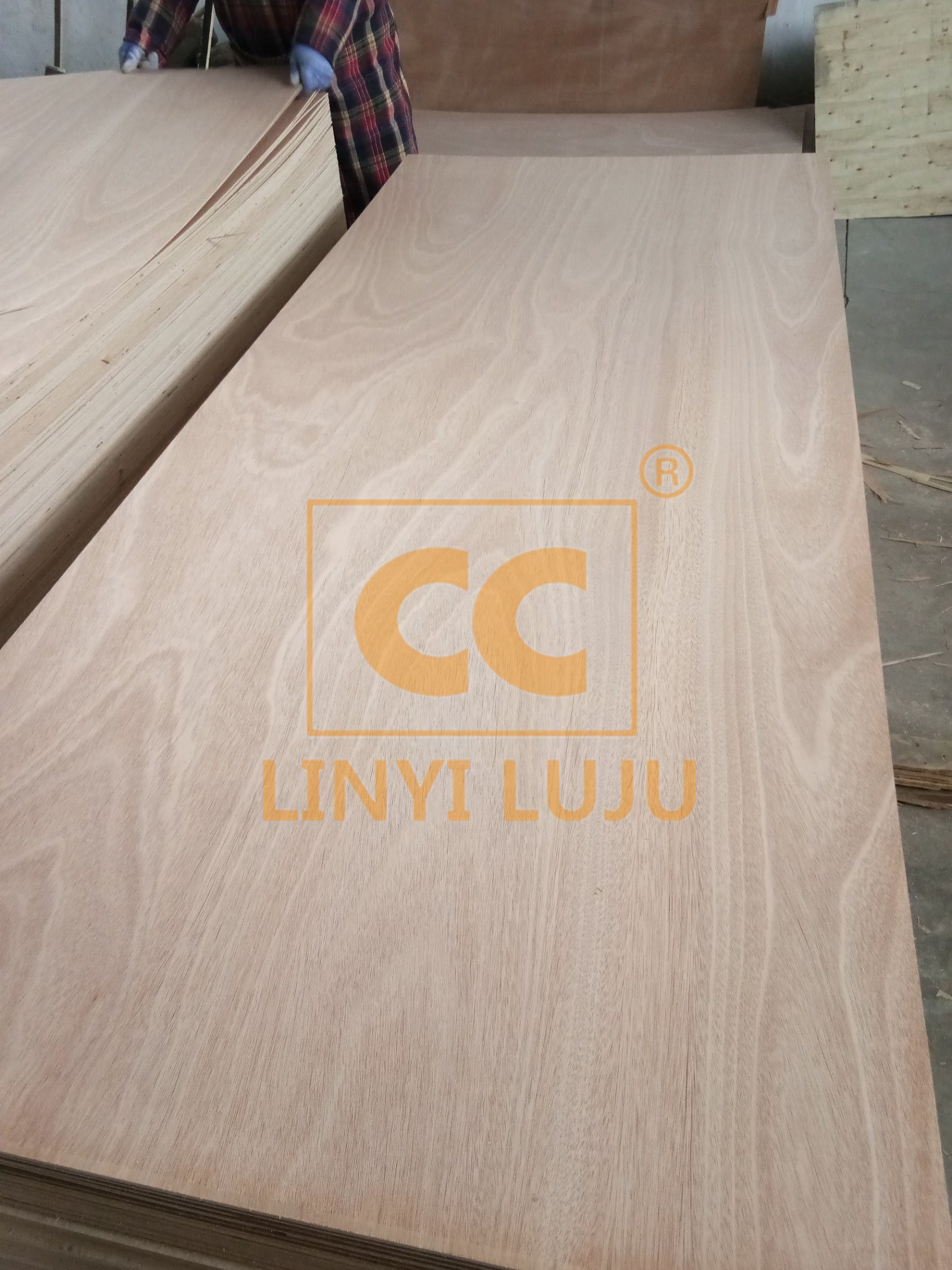 8mm、10mm High quality basswood plywood