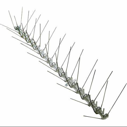 Bird Spikes