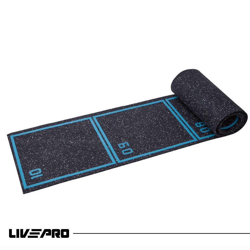 Roll-Out Agility Ladder