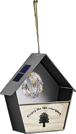 Solar Light