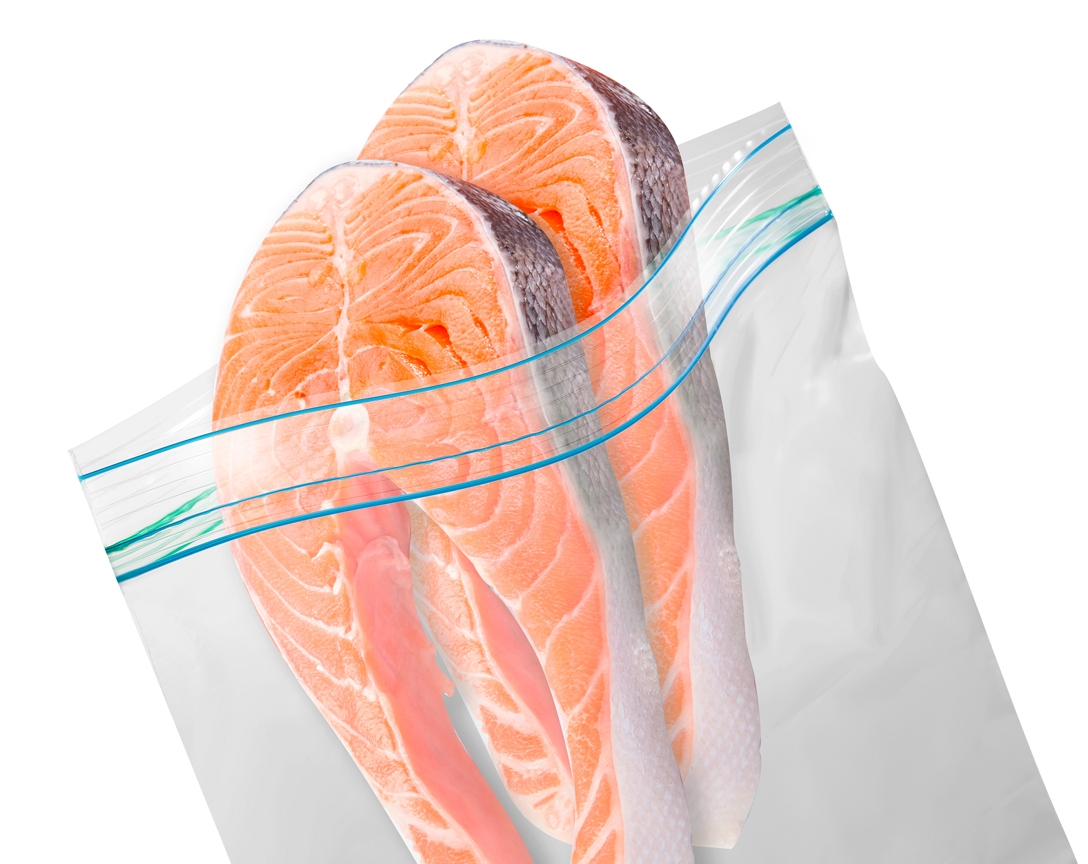 Freezer Bag