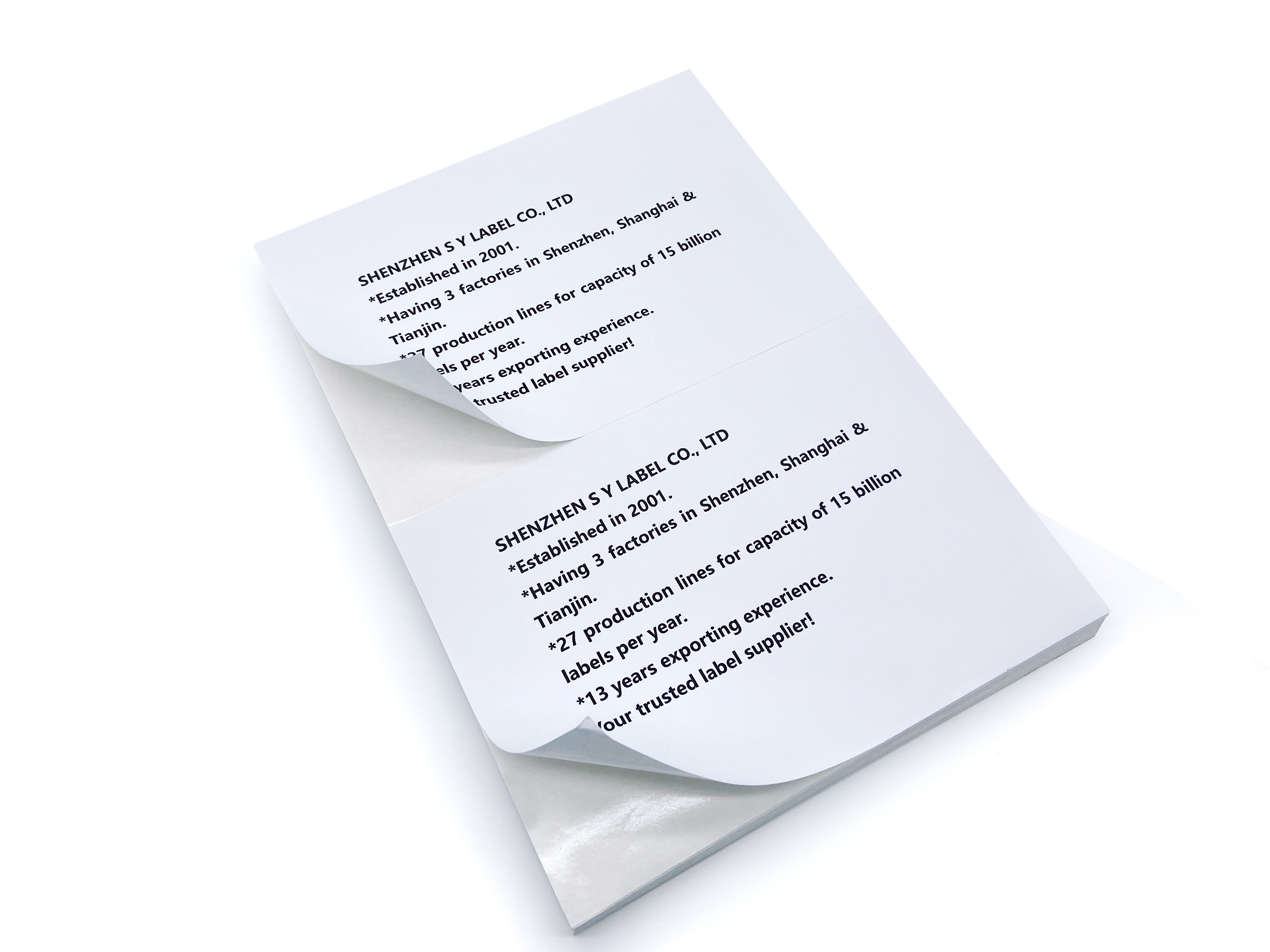 A4 Size Laser & Inkjet Label 2ups 199.6*143.5mm Address Shipping Label Self-adhesive