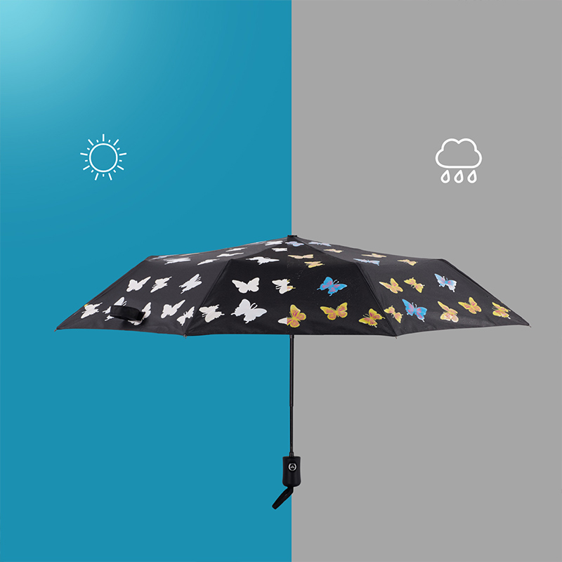 umbrella umbrella umbrella umbrella umbrella umbrella umbrella umbrella umbrella umbrella umbrella umbrella umbrella umbrella umbrella umbrella umbrella umbrella umbrella umbrella umbrella umbrella