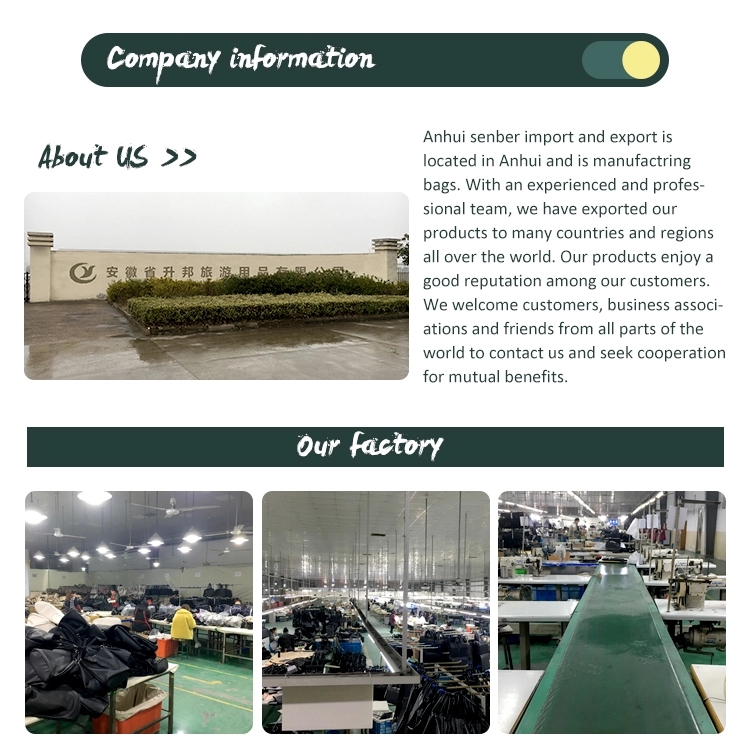 Anhui Shengbang Tourism Products Co., Ltd. – student schoolbag 1