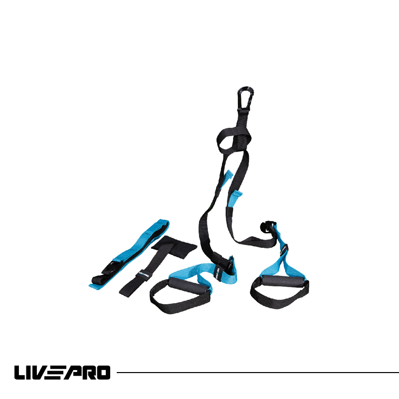 Suspension Trainer