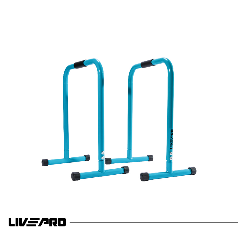 Parallettes Pair