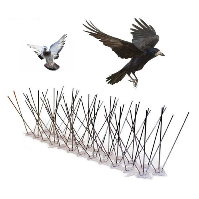 Bird Spikes