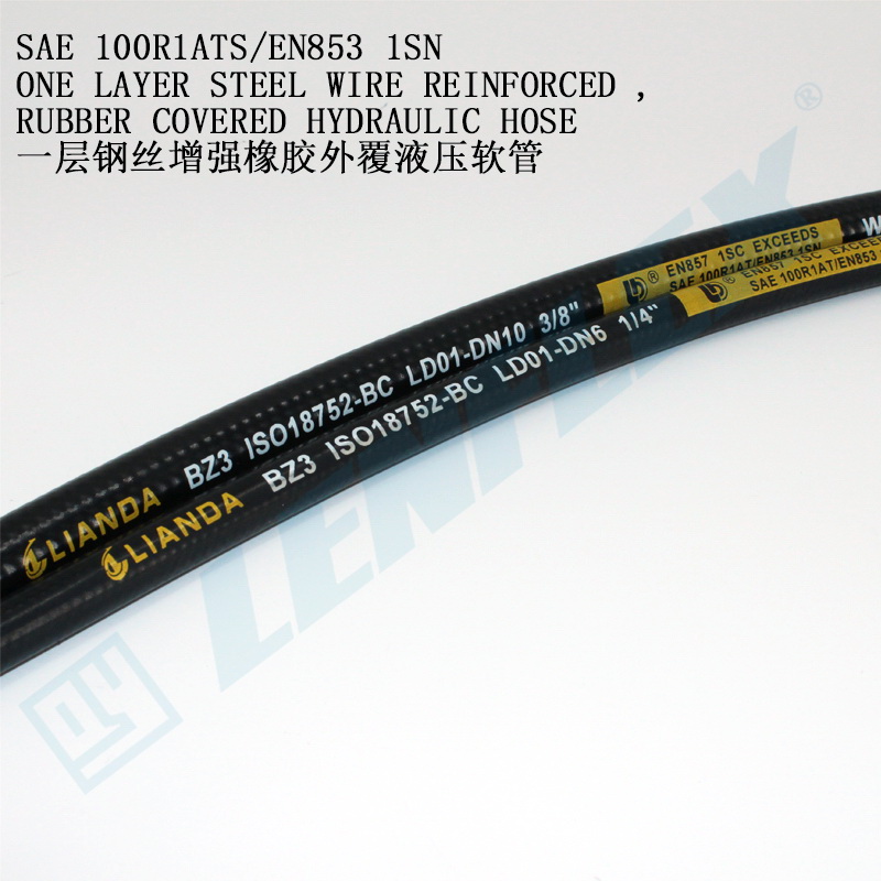 1SN/R1